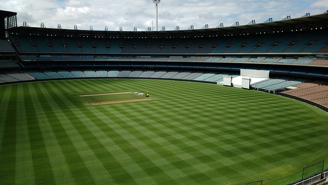 的视觉盛宴 的视觉盛宴