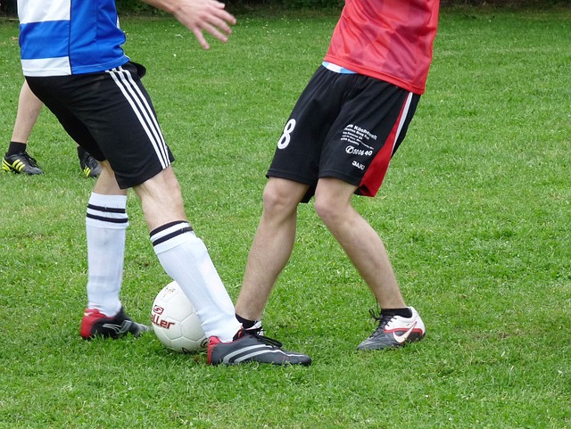 无论这次轮 无论这次轮