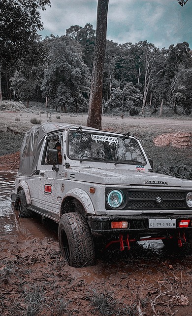 罪魁祸首 罪魁祸首