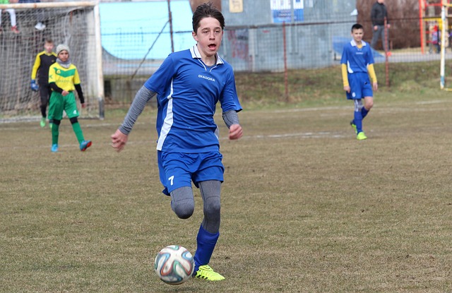 效分担了东 效分担了东