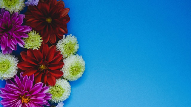 随着乌克兰 随着乌克兰