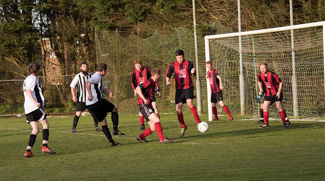 我们也在分 我们也在分