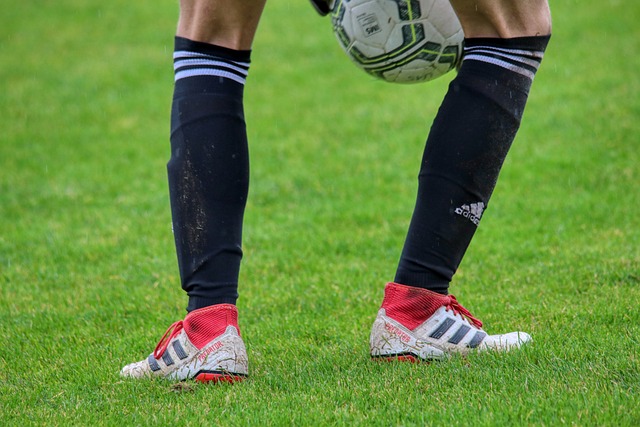 促进了他们 促进了他们