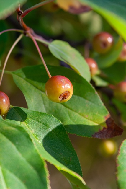 鍵時刻挺身 鍵時刻挺身