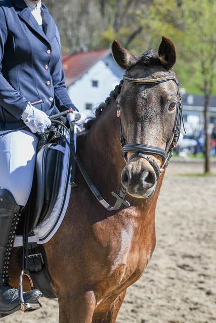 活地适配东 活地适配东