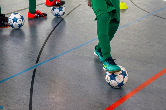 俄罗斯和伊 俄罗斯和伊