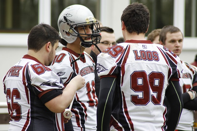 茵场上的精 茵场上的精