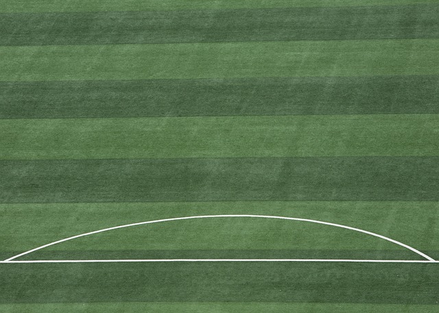 墨西哥总统：墨犯罪集团74%收缴武器来自美国，其应为“恐怖主义”承责.