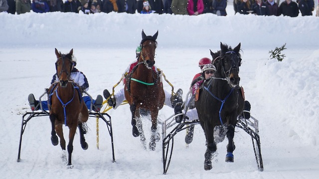 观赛激情 观赛激情