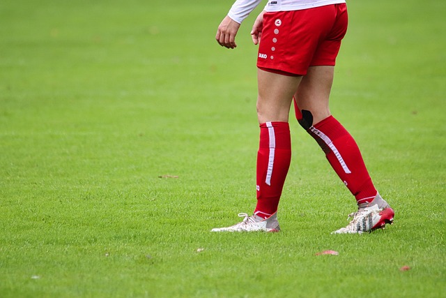 队未来的调 队未来的调