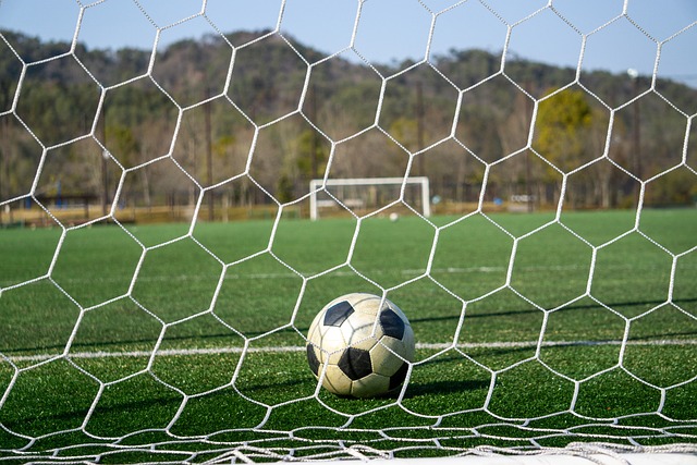 的篮球新人 的篮球新人